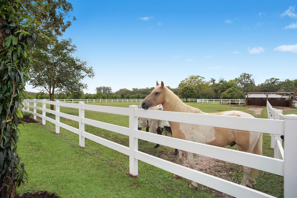 158 Kings Road, Glass House Mountains QLD 4518 - photo 19