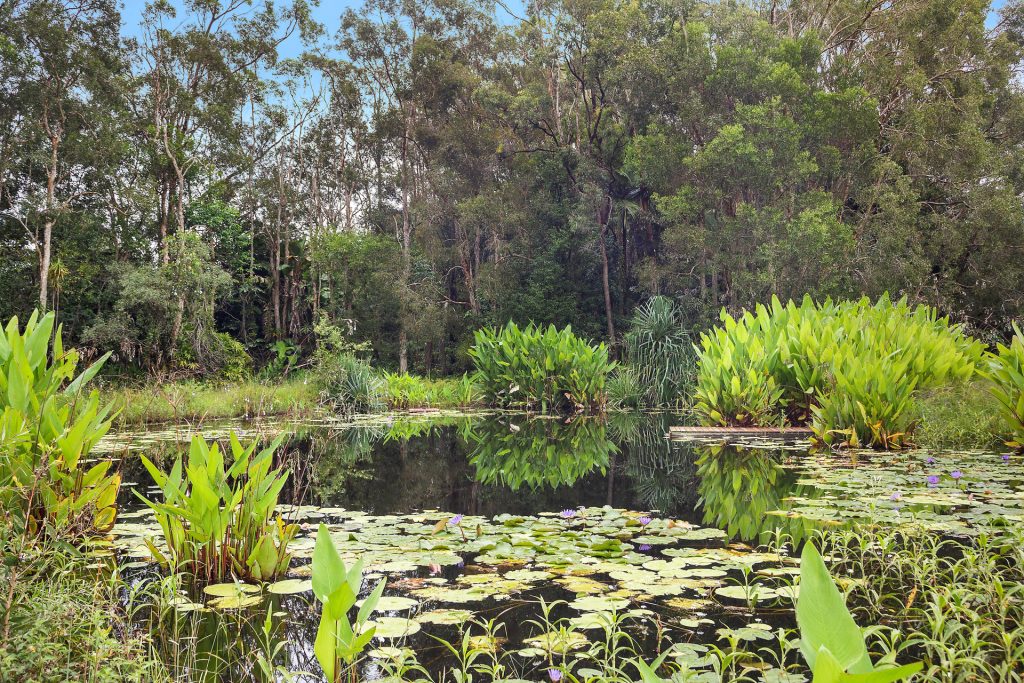 158 Kings Road, Glass House Mountains QLD 4518 - photo 20