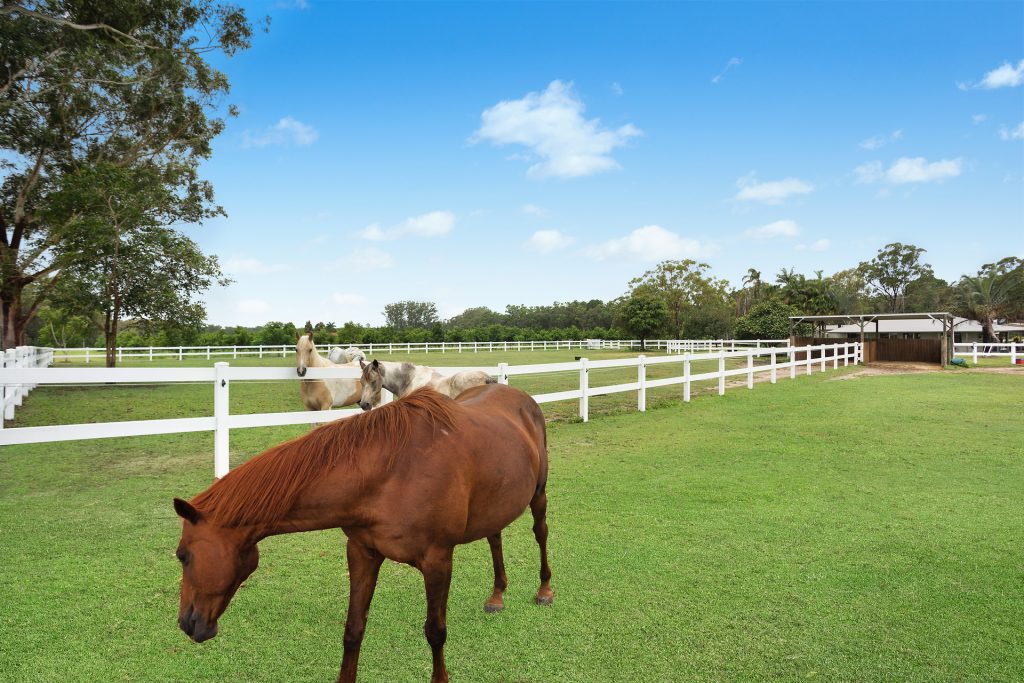 158 Kings Road, Glass House Mountains QLD 4518 - photo 3