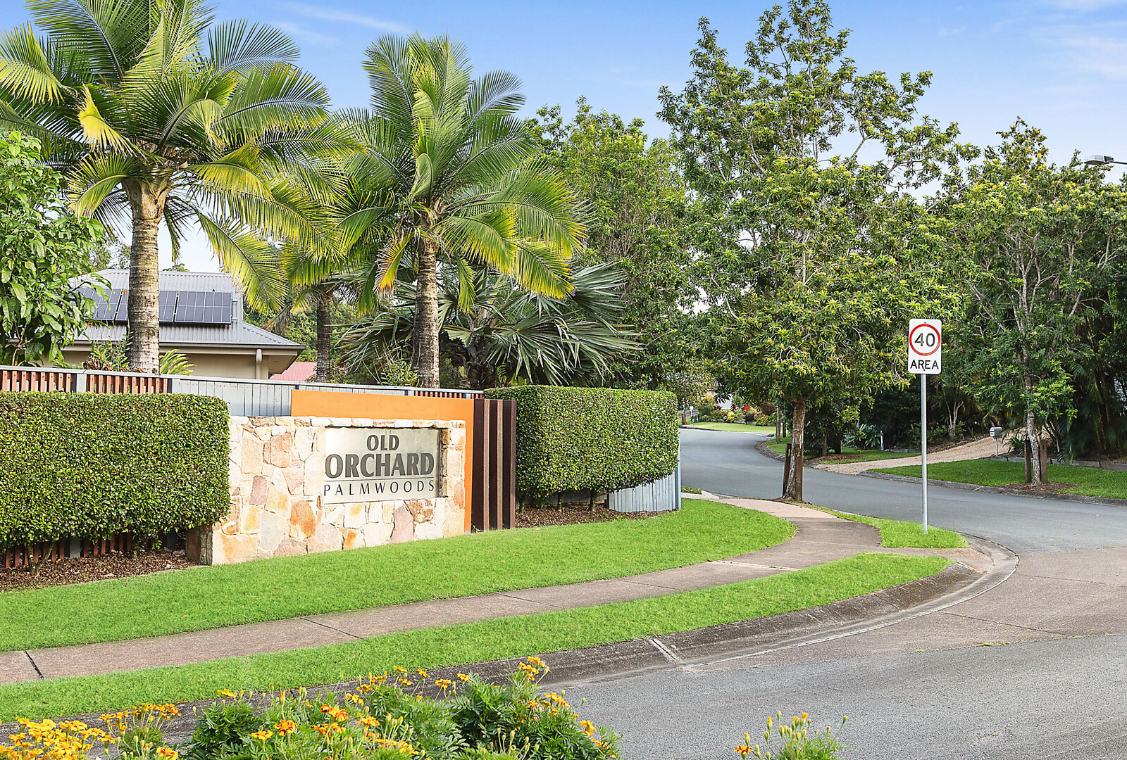 15 Evergreen Avenue, Palmwoods QLD 4555 - photo 16