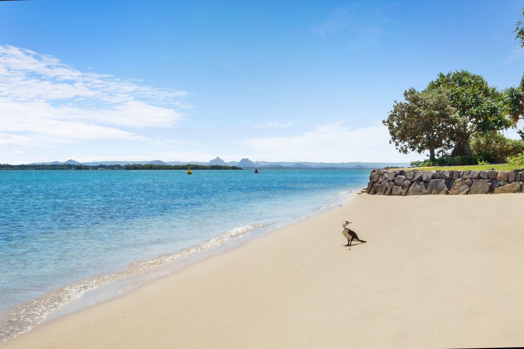 14 Whitehaven Place, Banksia Beach QLD 4507 - photo 17