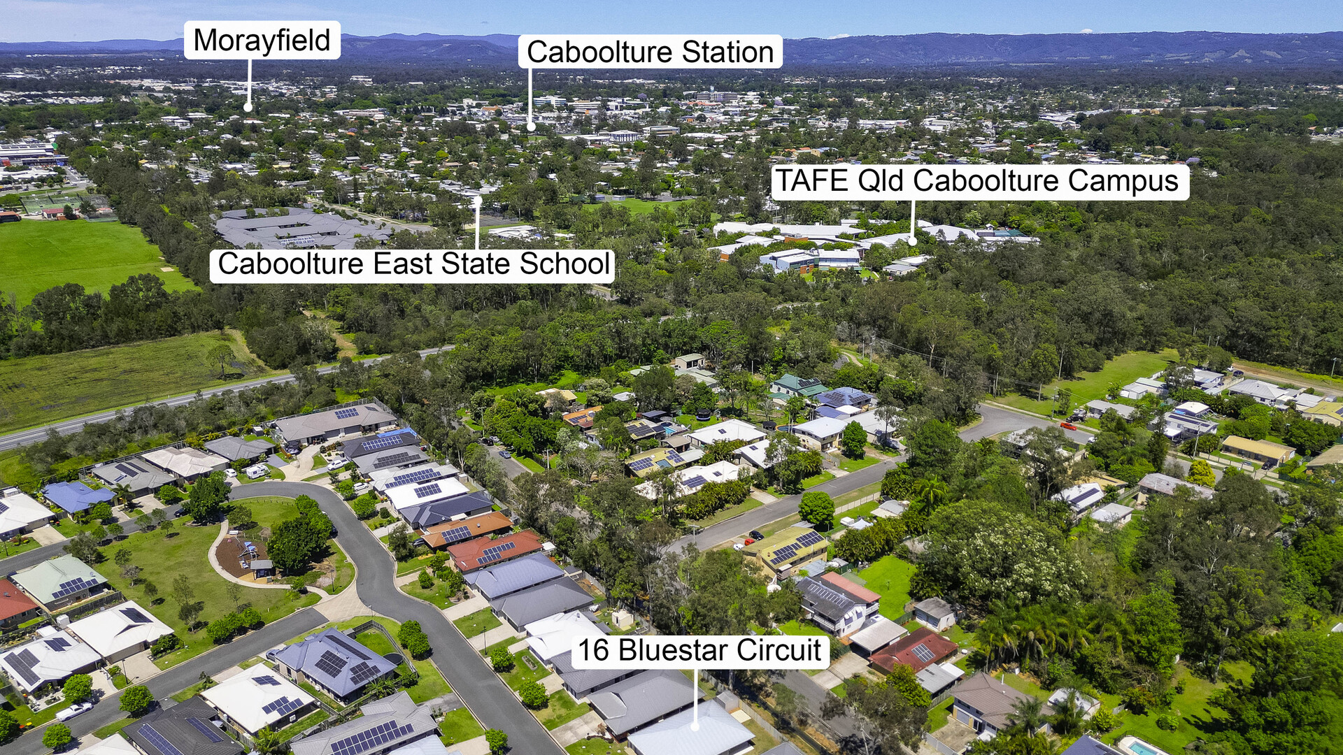 16 Bluestar Circuit, Caboolture QLD 4510 - photo 14