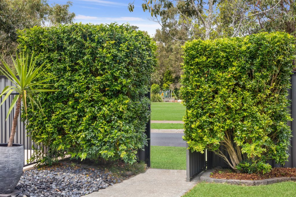 3 Silvereye Circuit, Beerwah QLD 4519 - photo 14