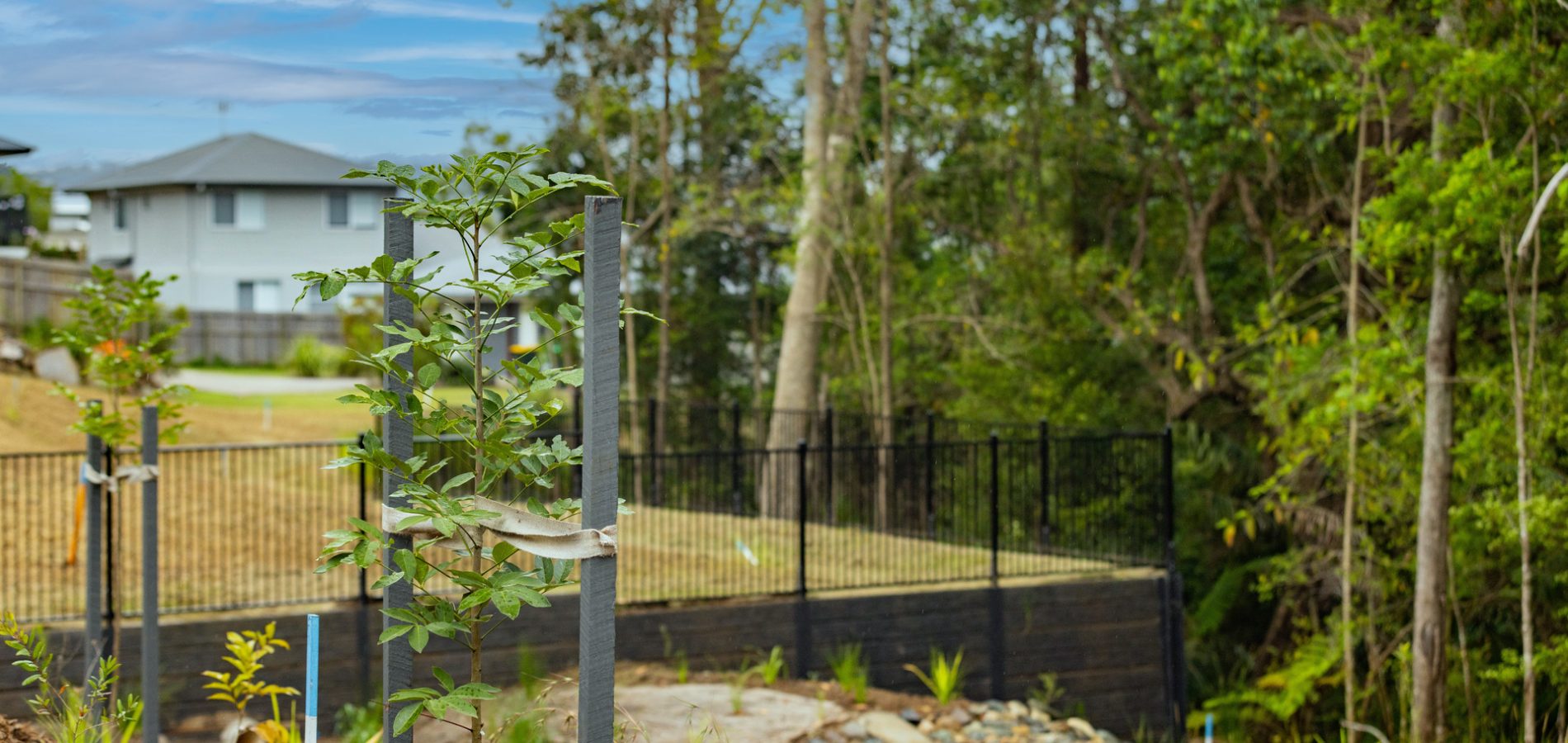 10 Andrews Close, Woombye QLD 4559 - McGrath Coast & Hinterland