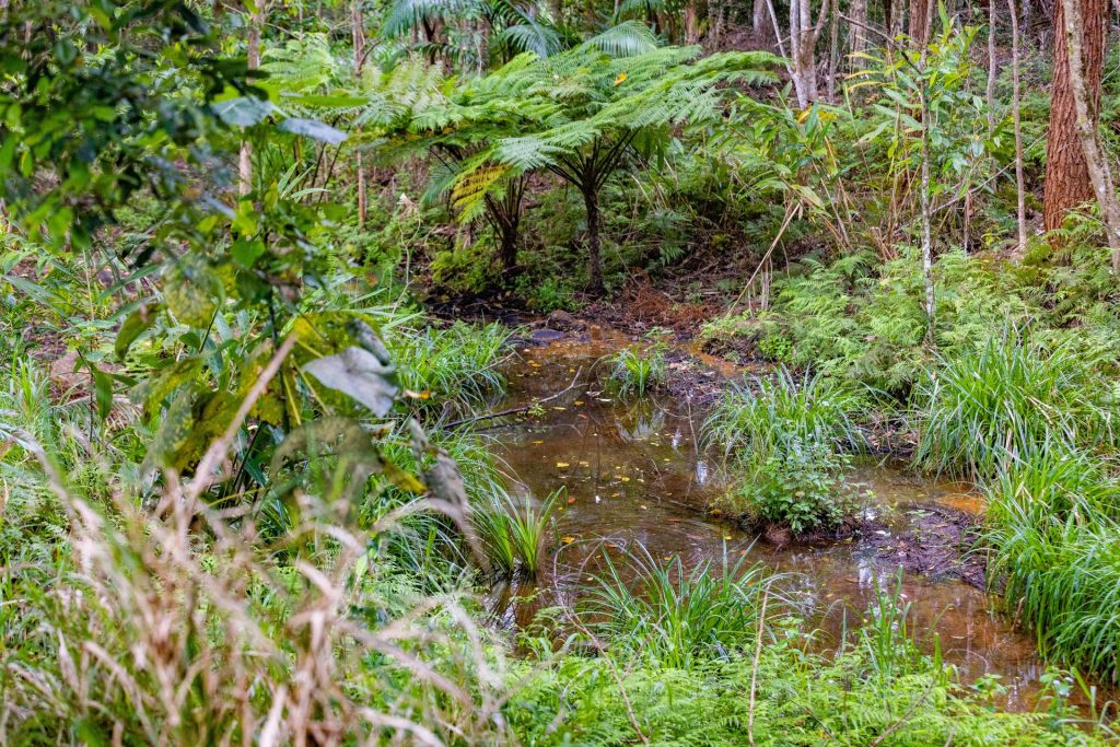 10 Andrews Close, Woombye QLD 4559 - photo 9