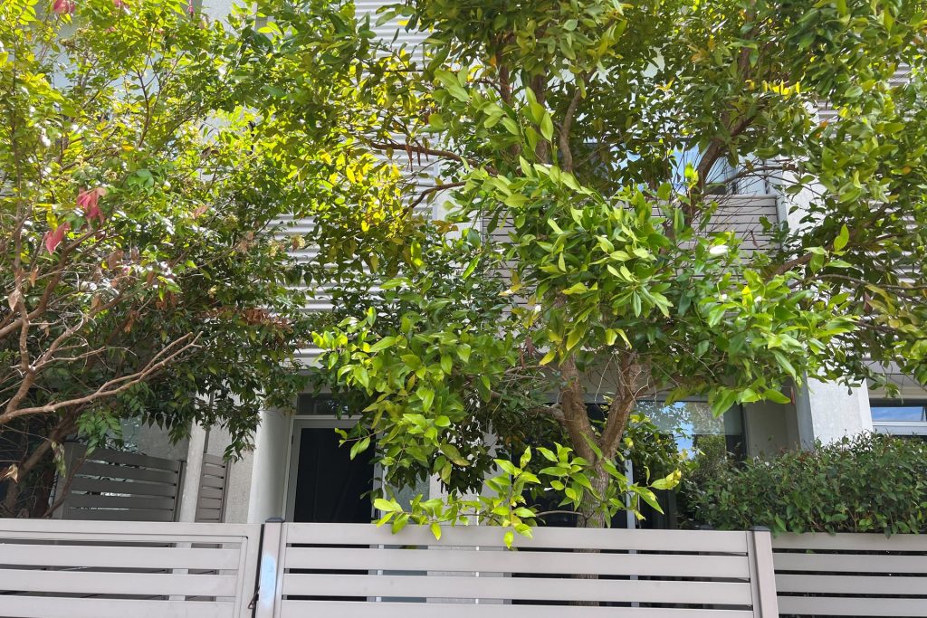 8/1 Shaw Street, Meridan Plains QLD 4551 - photo 2