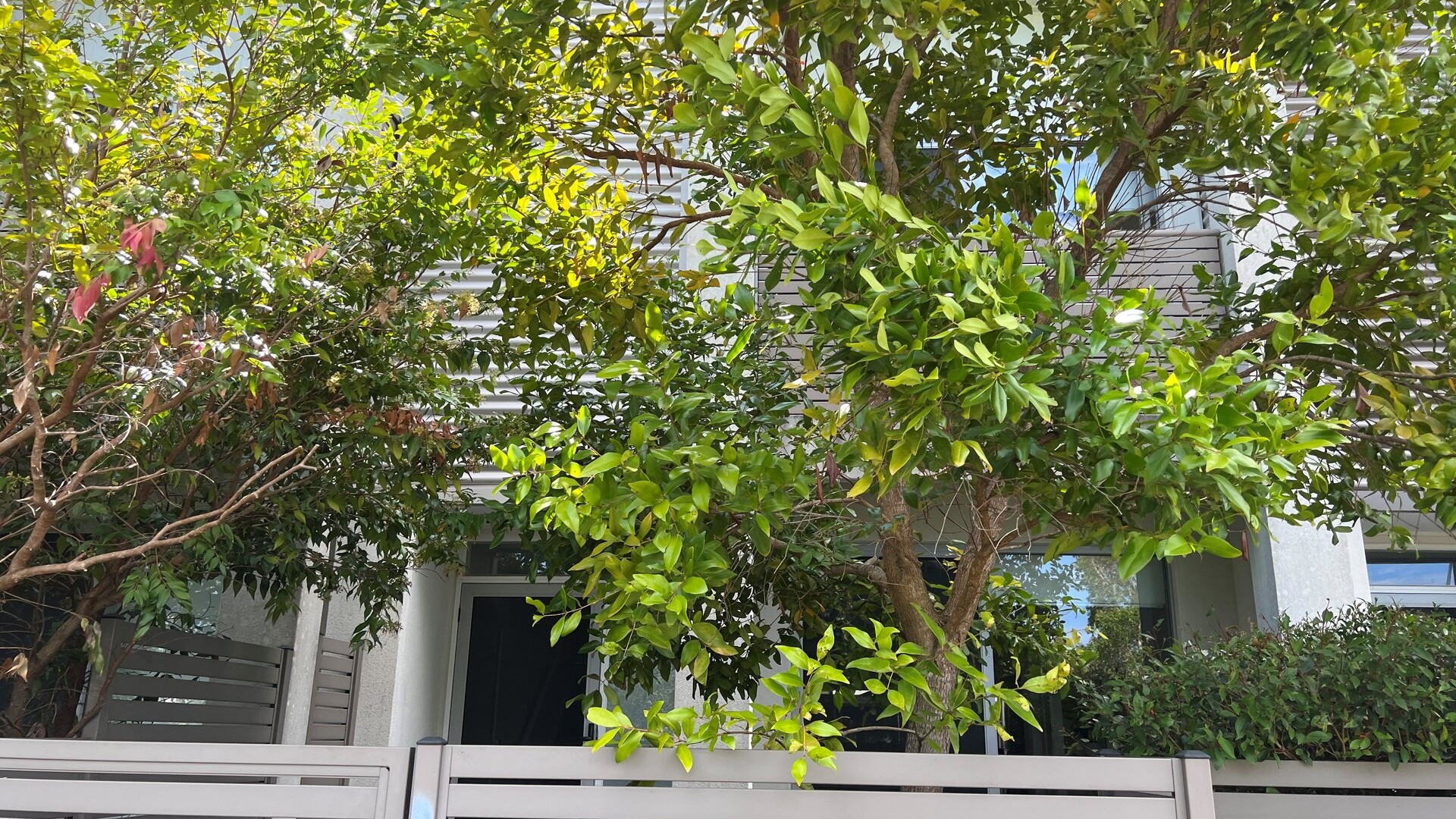 8/1 Shaw Street, Meridan Plains QLD 4551 - photo 2