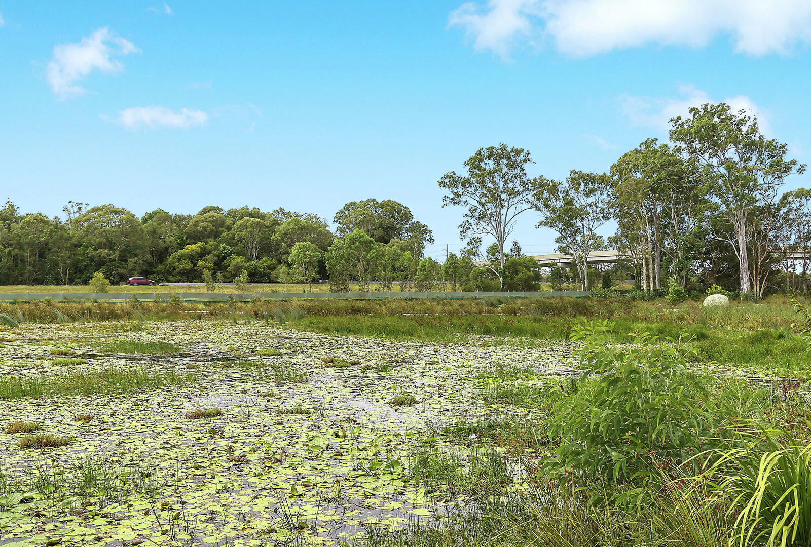 19 Harvey Lane, Meridan Plains QLD 4551 - photo 7