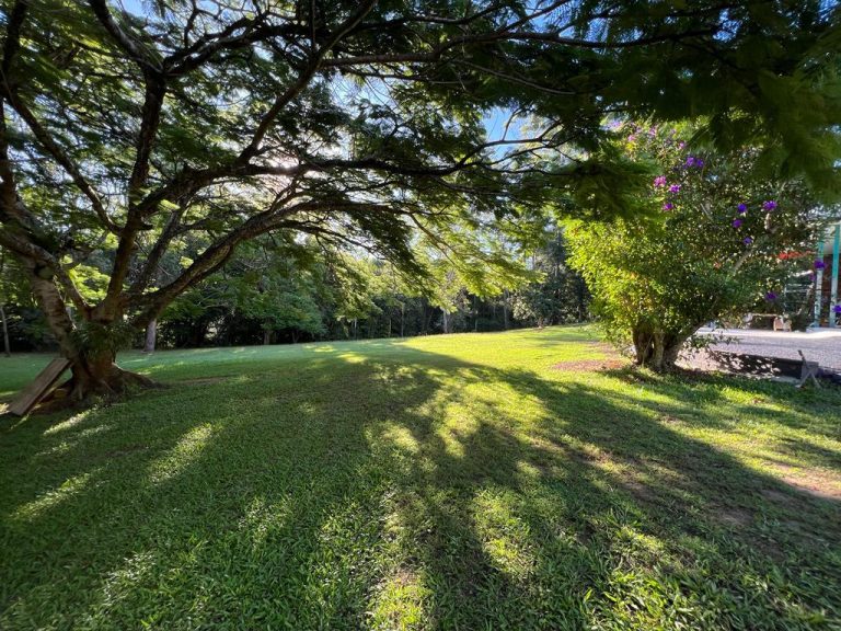 1044 Peachester Road, Peachester QLD 4519 - photo 5