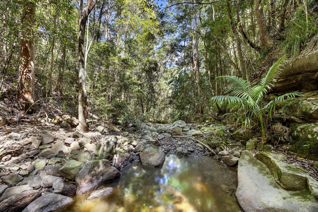 185 Landsborough Maleny Road, Mount Mellum QLD 4550 - photo 20