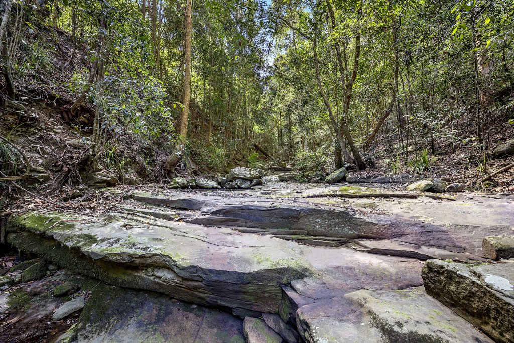 185 Landsborough Maleny Road, Mount Mellum QLD 4550 - photo 21