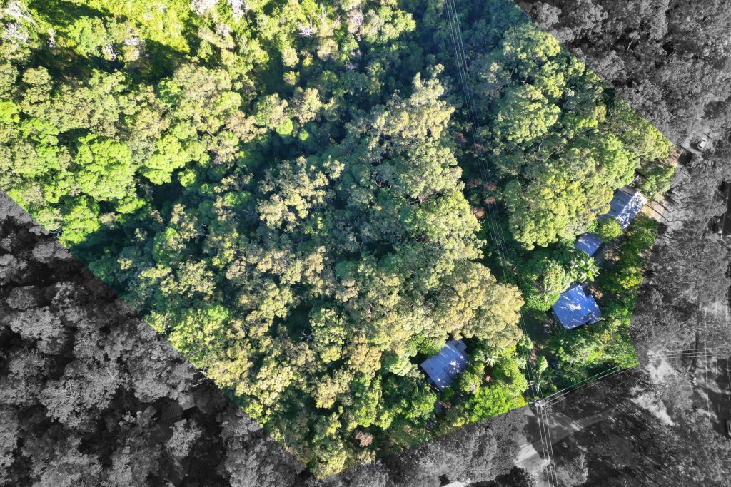 185 Landsborough Maleny Road, Mount Mellum QLD 4550 - photo 8