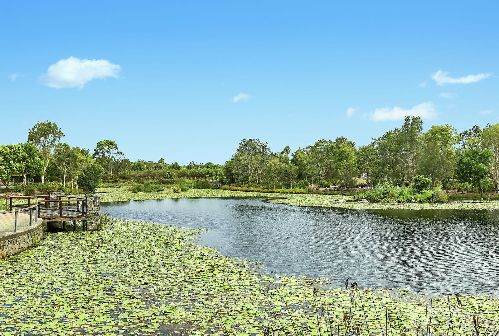 Sold - 21 Gipps Street - New Property in Caloundra West - Real Estate by Nicki Colam