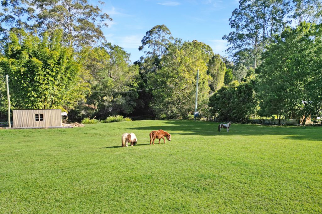 139 Commissioners Flat Road, Peachester QLD 4519 - photo 12