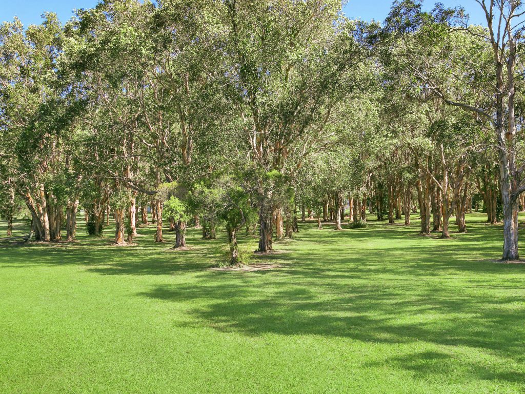 27 Liekefett Way, Little Mountain QLD 4551 - photo 11