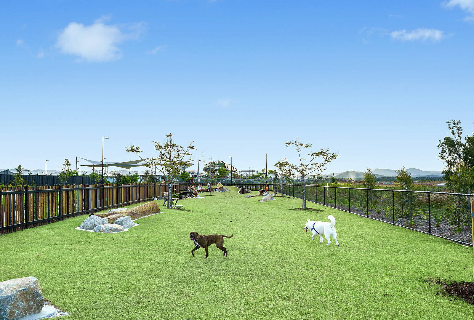 Sold - 57 Jasmine Avenue - New Property in Nirimba - Real Estate by 