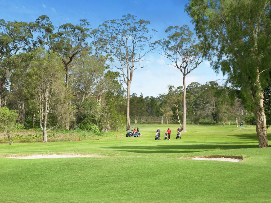 12 Kate Court, Beerwah QLD 4519 - photo 18