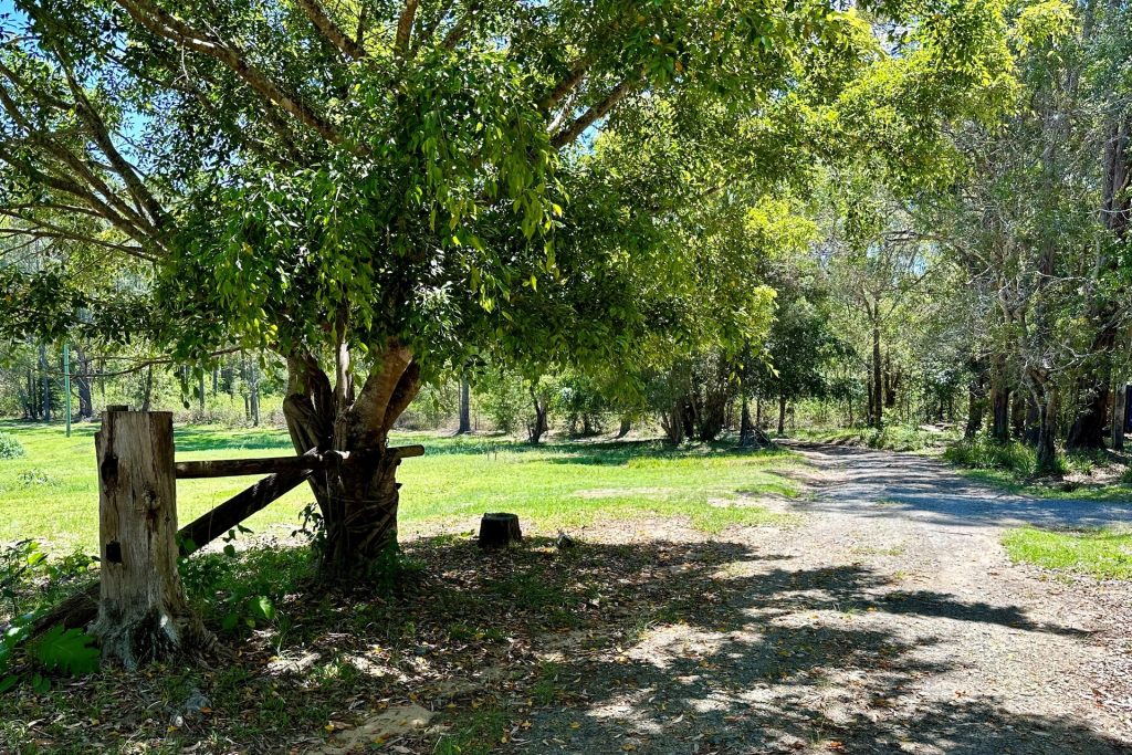 458 Macdonalds Road, Peachester QLD 4519 - photo 15