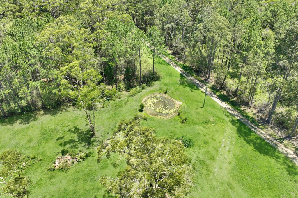 458 Macdonalds Road, Peachester QLD 4519 - photo 18