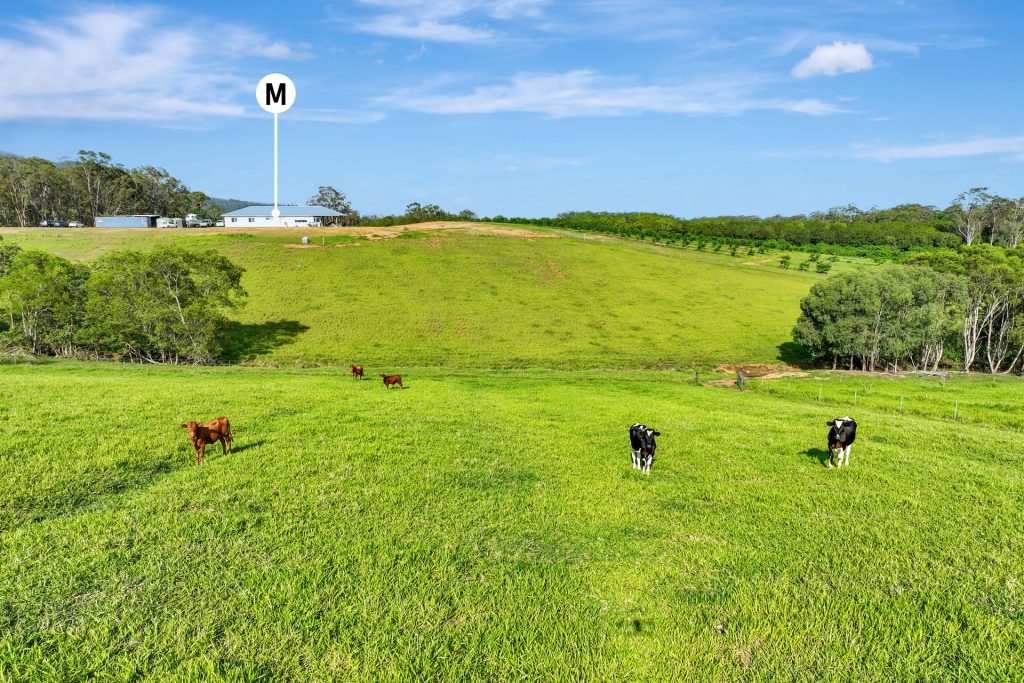 65 Stirling Road, Peachester QLD 4519 - photo 11