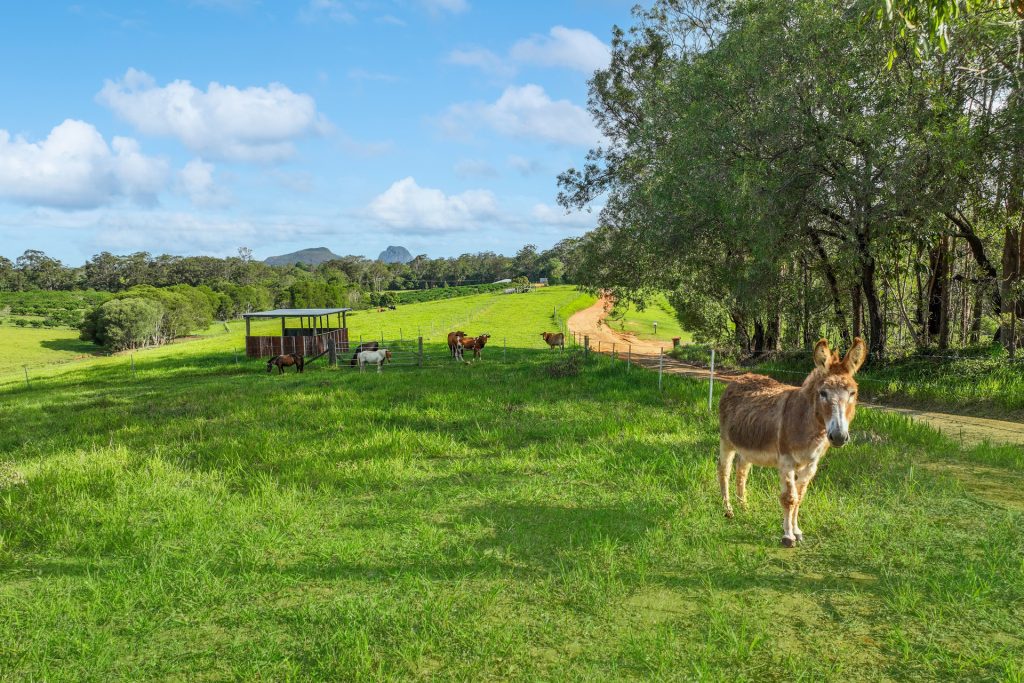 65 Stirling Road, Peachester QLD 4519 - photo 12