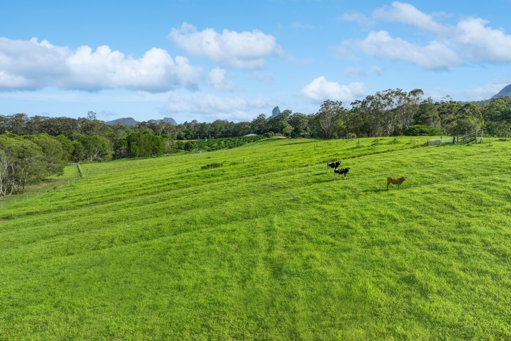 65 Stirling Road, Peachester QLD 4519 - photo 14