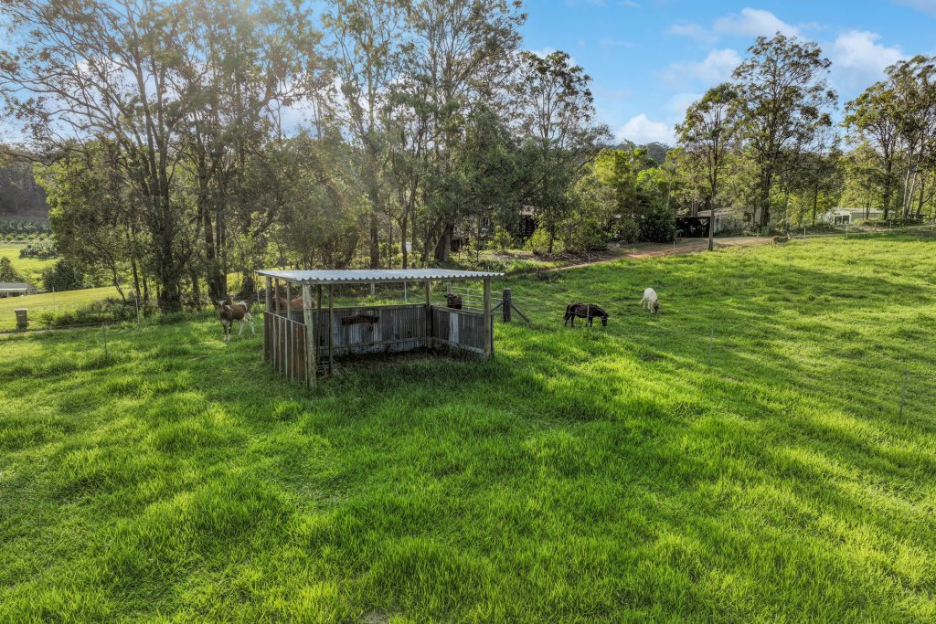 65 Stirling Road, Peachester QLD 4519 - photo 25