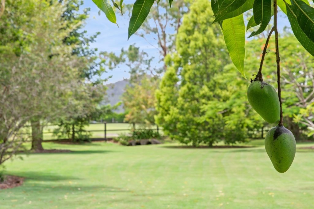 20 Wintergreen Way, Peachester QLD 4519 - photo 17
