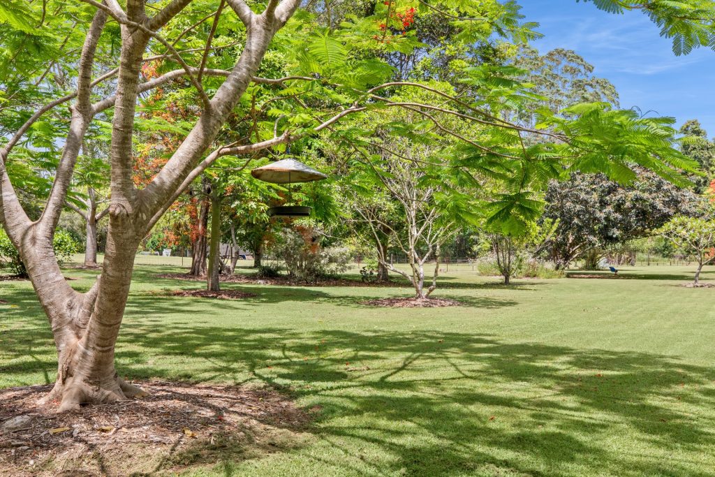 20 Wintergreen Way, Peachester QLD 4519 - photo 10