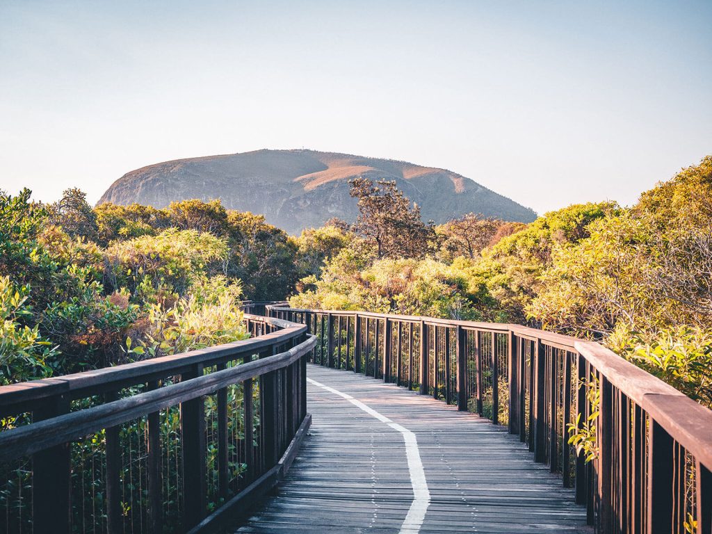 Sold - 24/42 Boardwalk Boulevard - New Property in Mount Coolum - Real Estate by Louise Webb