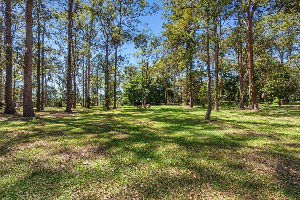 304 Connection Road, Mooloolah Valley QLD 4553 - photo 15