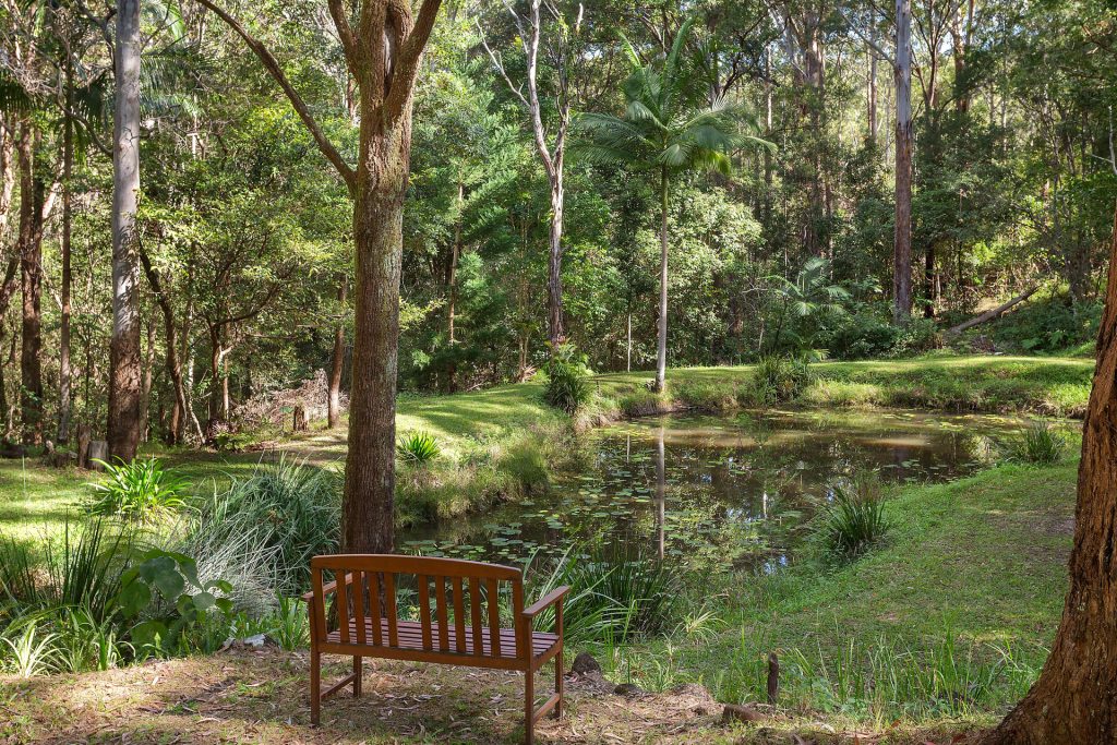 23 Johnsons Road, Eudlo QLD 4554 - photo 13