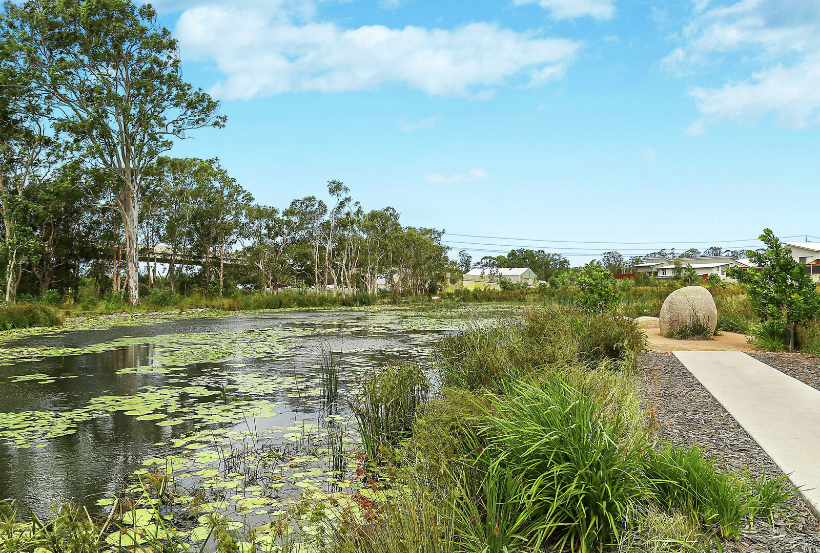 36 Brampton Way, Meridan Plains QLD 4551 - photo 15