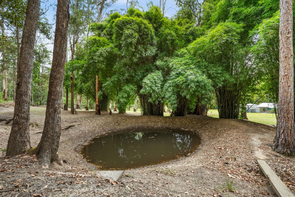 87 Whites Road, Landsborough QLD 4550 - photo 13