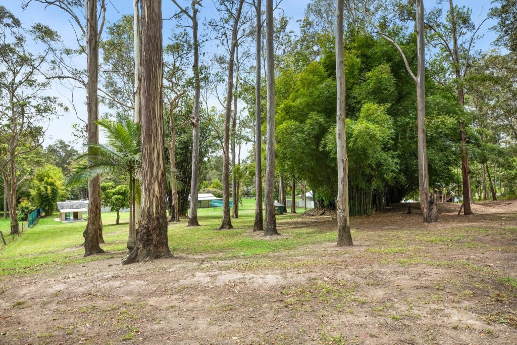 87 Whites Road, Landsborough QLD 4550 - photo 4