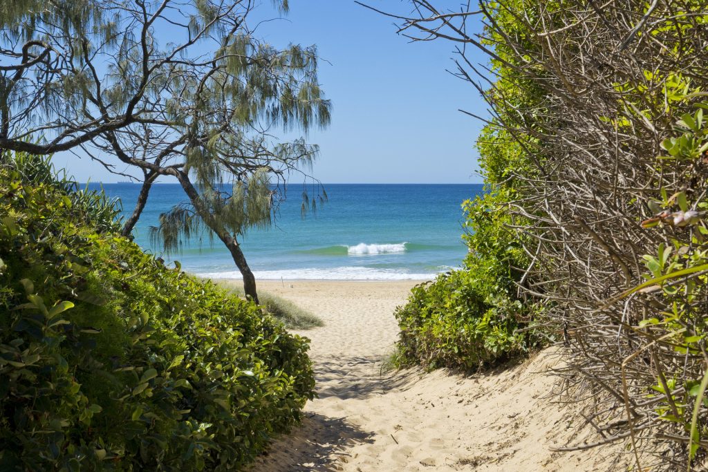 11 Naroon Crescent, Wurtulla QLD 4575 - photo 19