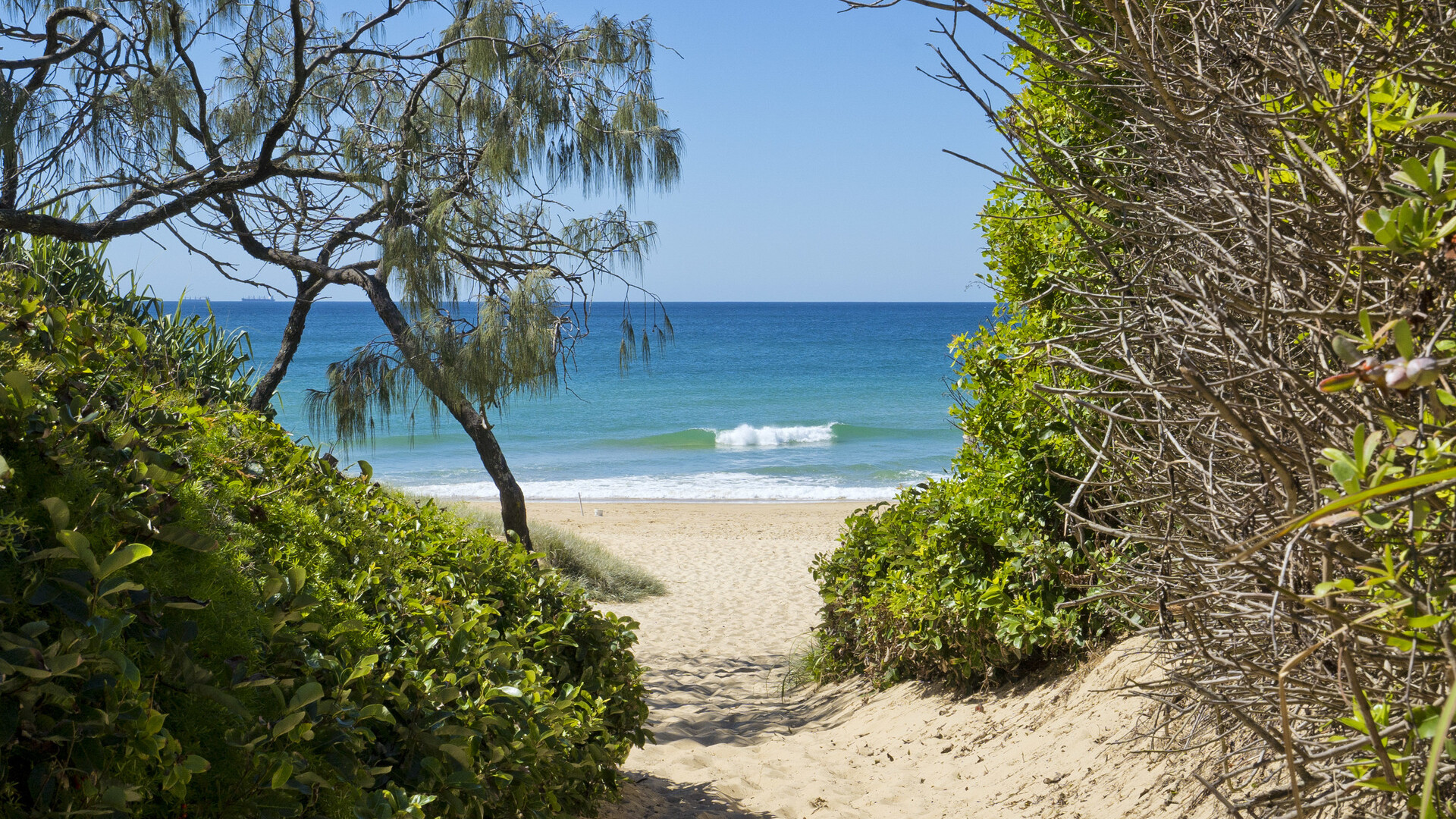 11 Naroon Crescent, Wurtulla QLD 4575 - photo 19