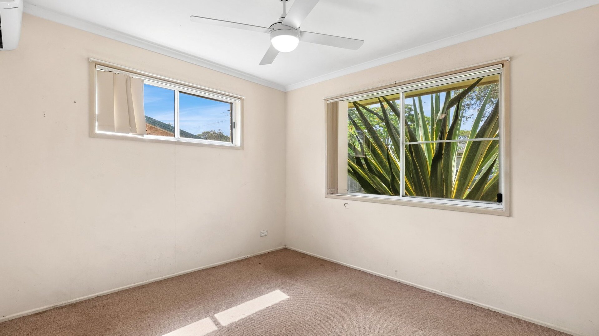 11 North Street, Beerwah QLD 4519 - photo 4