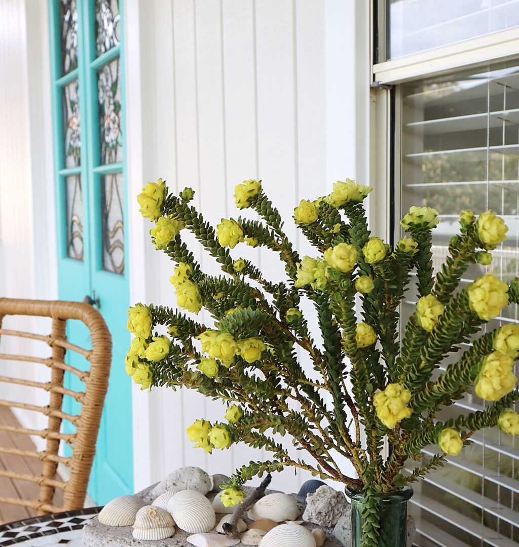 Sold - 54 Oceanic Drive - New Property in Warana - Real Estate by Amy Bennett