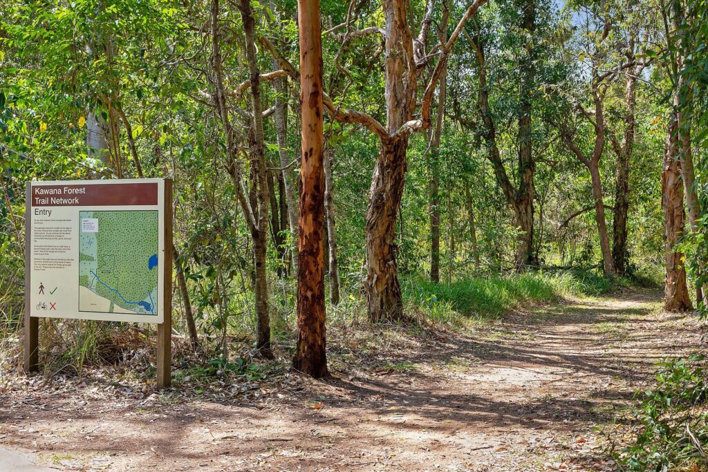 Sold - 7 Tulipwood Court - New Property in Meridan Plains - Real Estate by Nicki Colam
