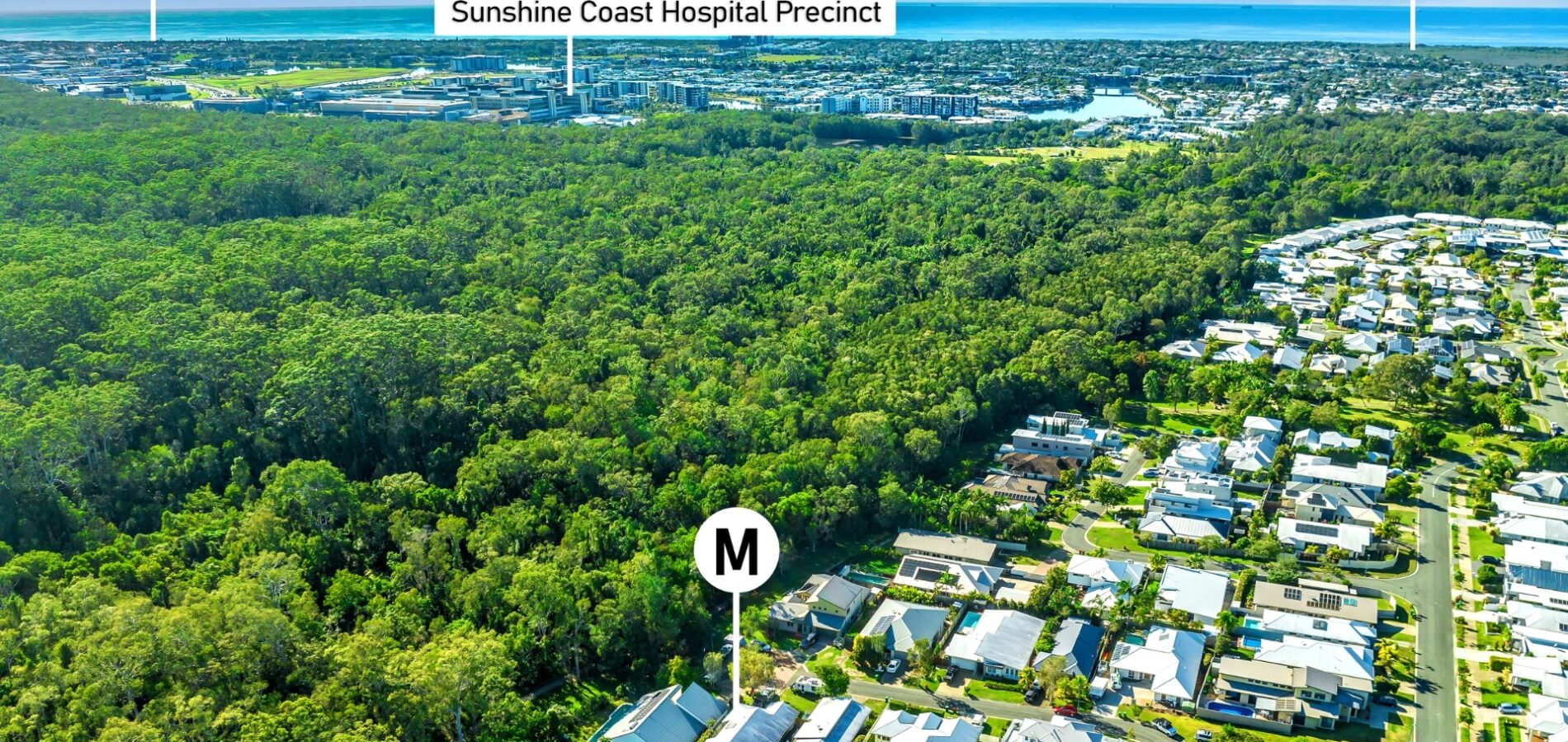 Sold - 7 Tulipwood Court - New Property in Meridan Plains - Real Estate by Nicki Colam