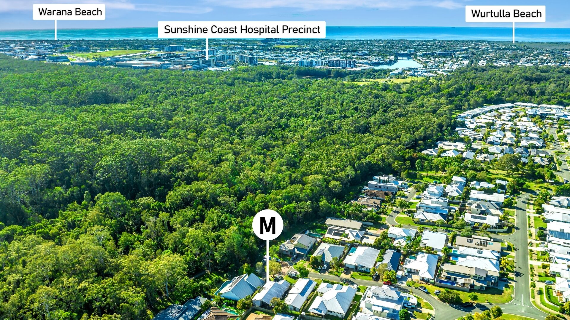 Sold - 7 Tulipwood Court - New Property in Meridan Plains - Real Estate by Nicki Colam