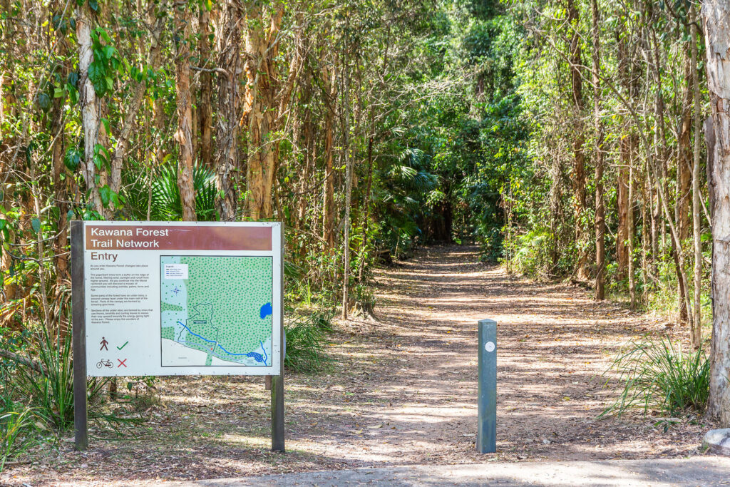 Sold - 17 Woombye Street - New Property in Meridan Plains - Real Estate by Nicki Colam