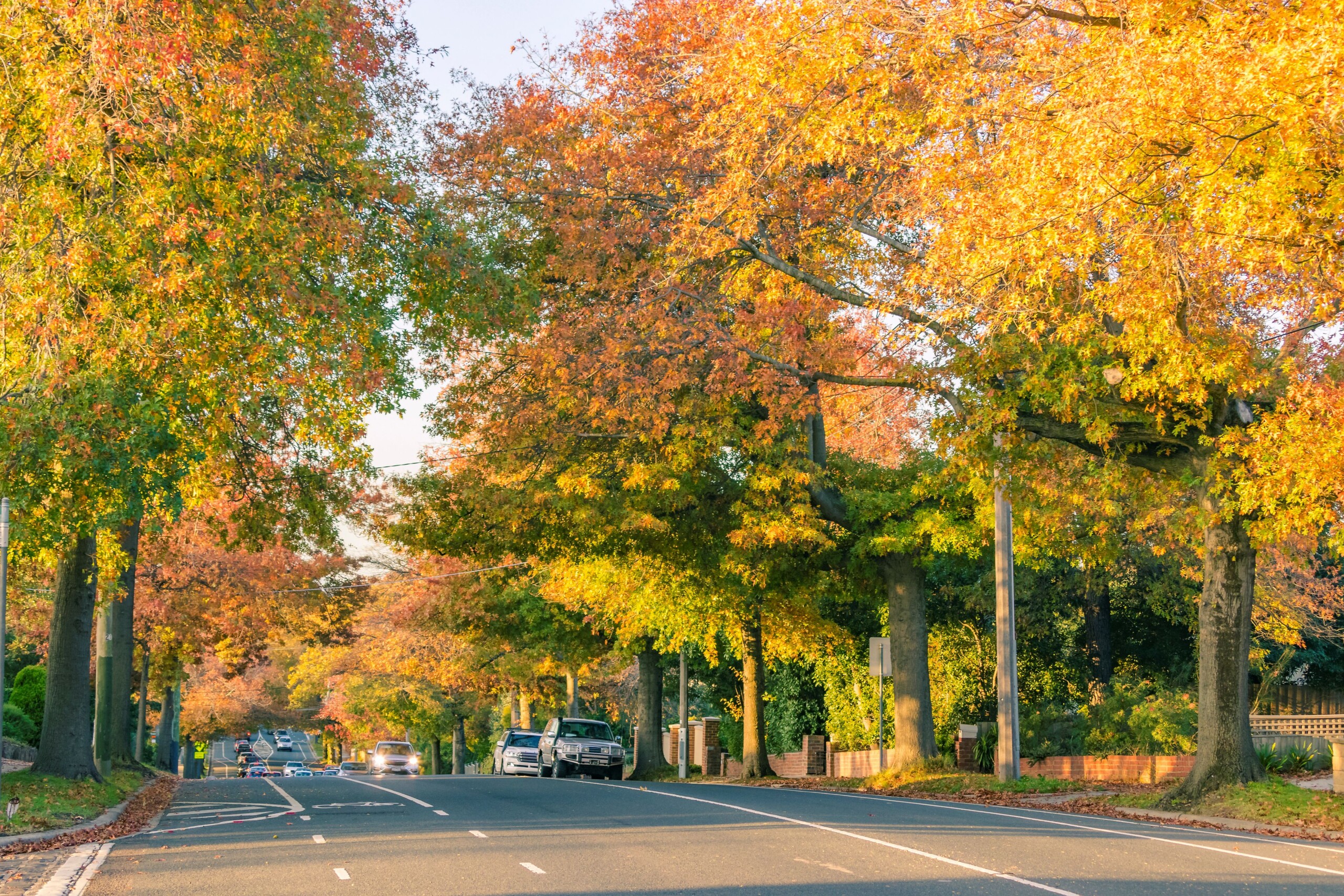 autumn