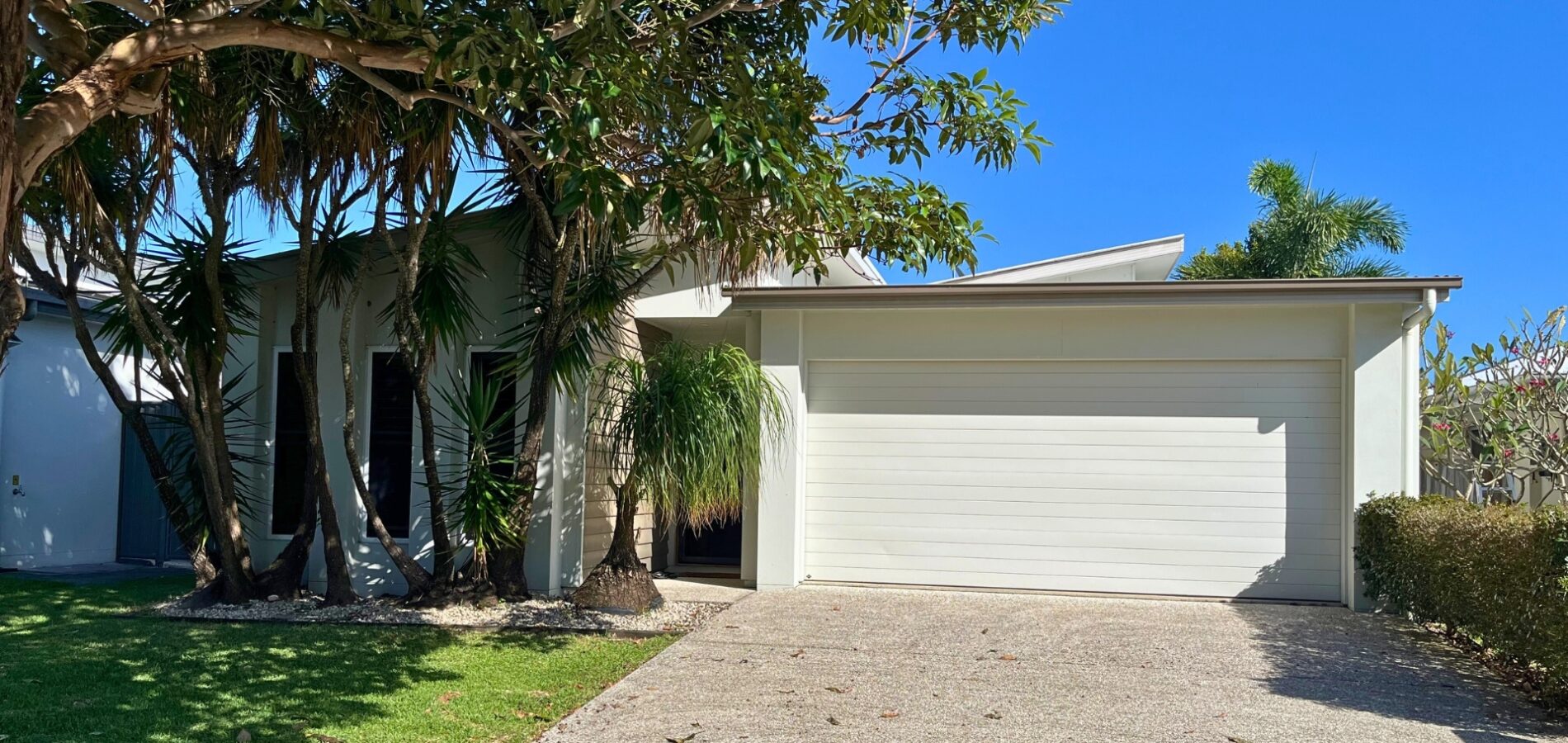 Sold - 6 Silkpod Street - New Property in Meridan Plains - Real Estate by Nicki Colam
