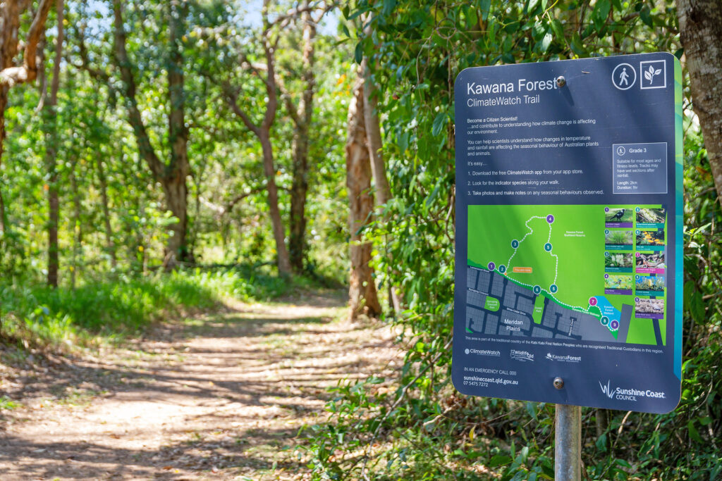 Sold - 9/5 Forest Park Street - New Property in Meridan Plains - Real Estate by Nicki Colam