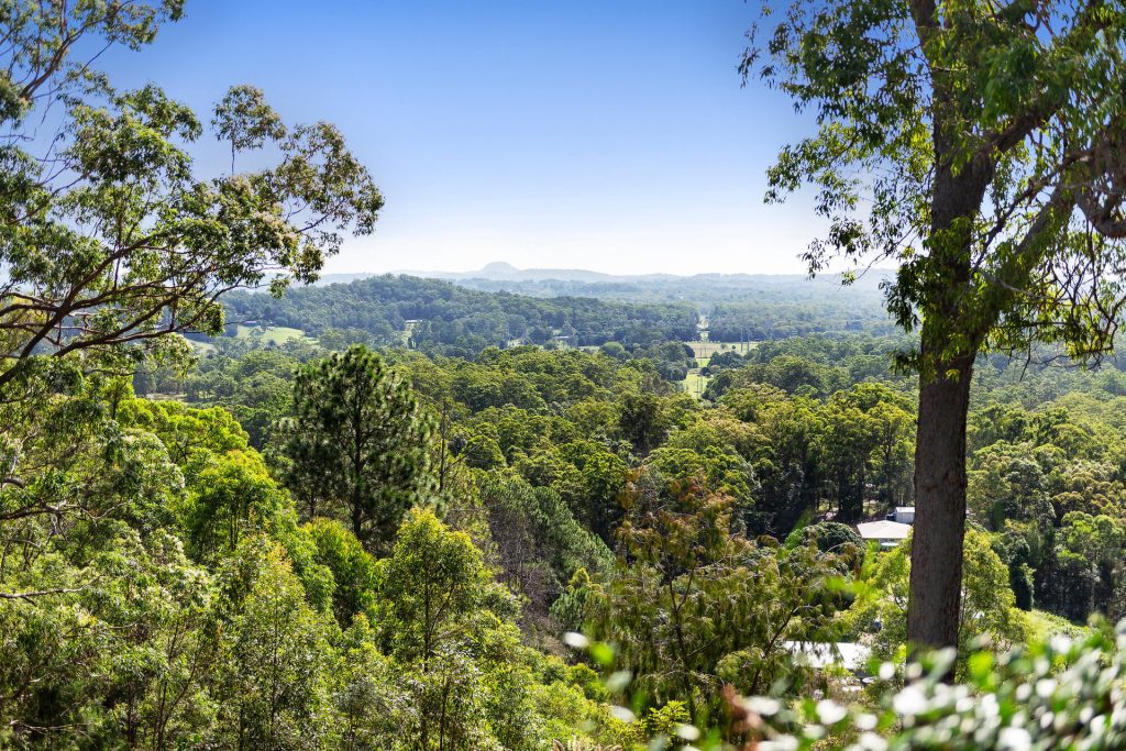 Sold - 169 Nobles Road - New Property in Eudlo - Real Estate by Jodie Hedley-Ward