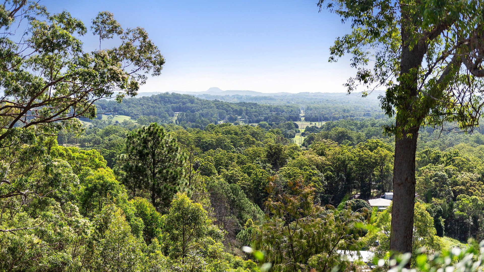 Sold - 169 Nobles Road - New Property in Eudlo - Real Estate by Jodie Hedley-Ward