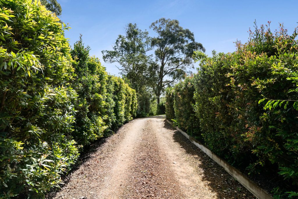 Sold - 169 Nobles Road - New Property in Eudlo - Real Estate by Jodie Hedley-Ward