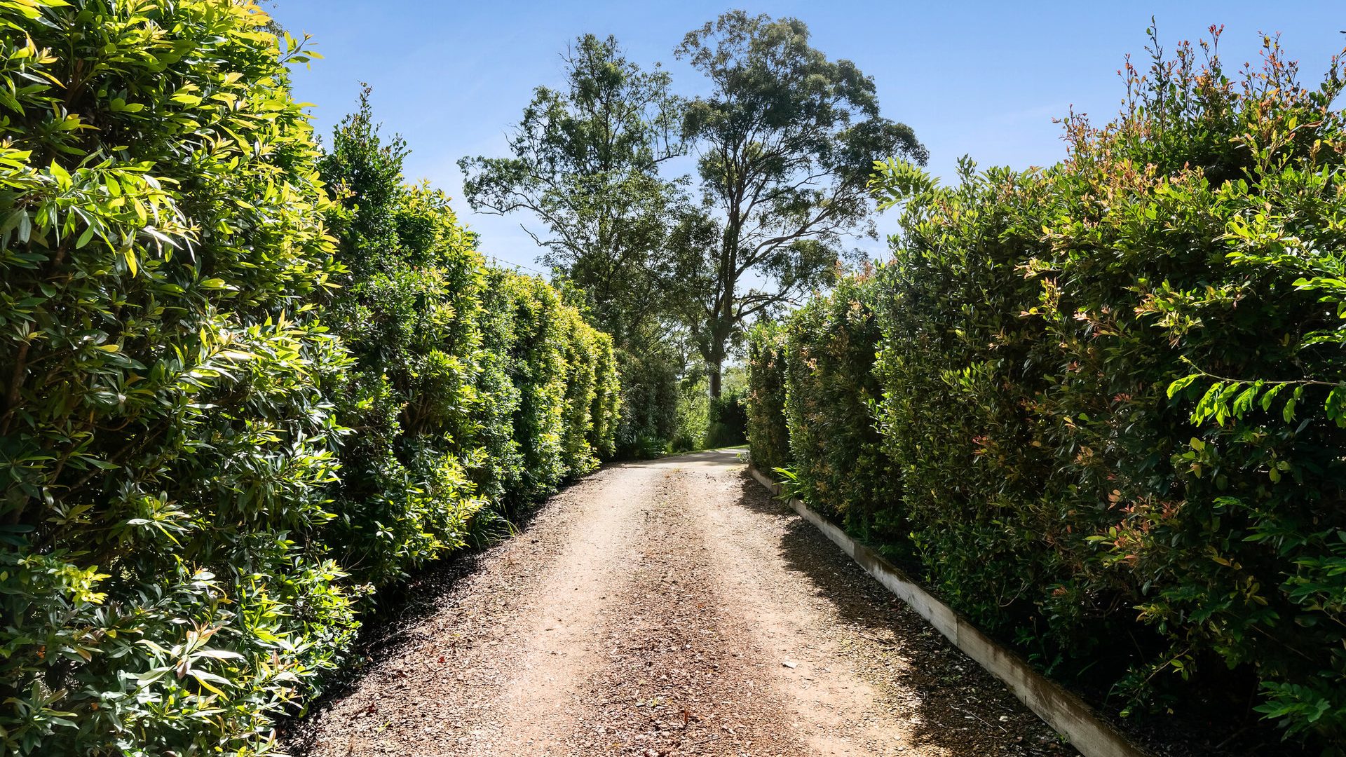 Sold - 169 Nobles Road - New Property in Eudlo - Real Estate by Jodie Hedley-Ward